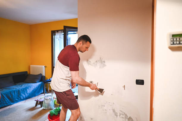Best Mold Remediation for Specific Building Types in Nettleton, MS